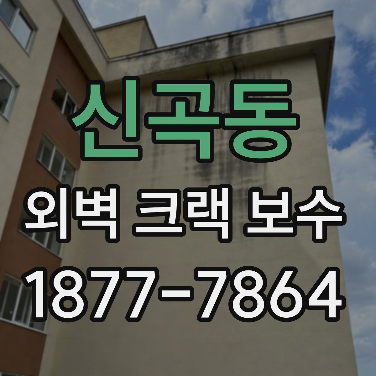 신곡동 외벽 크랙 보수