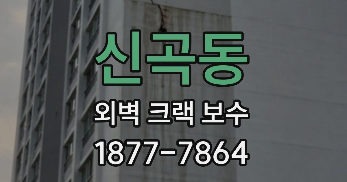 신곡동 외벽 크랙 보수