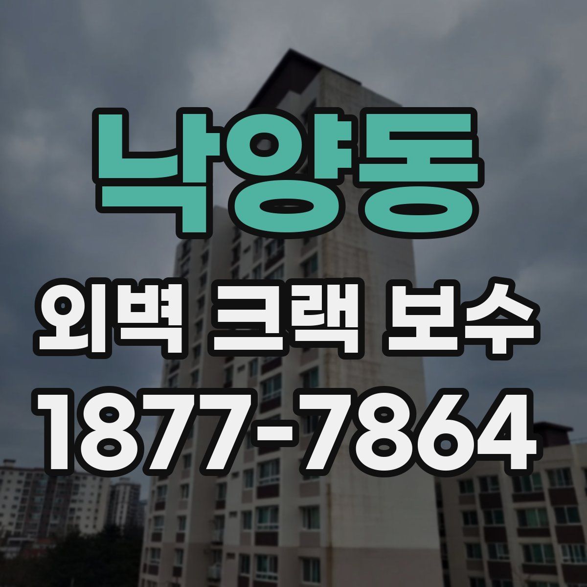 낙양동 외벽 크랙 보수