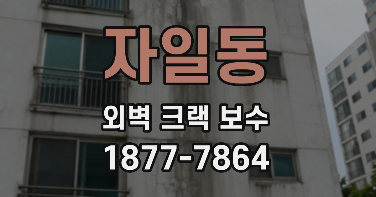 자일동 외벽 크랙 보수