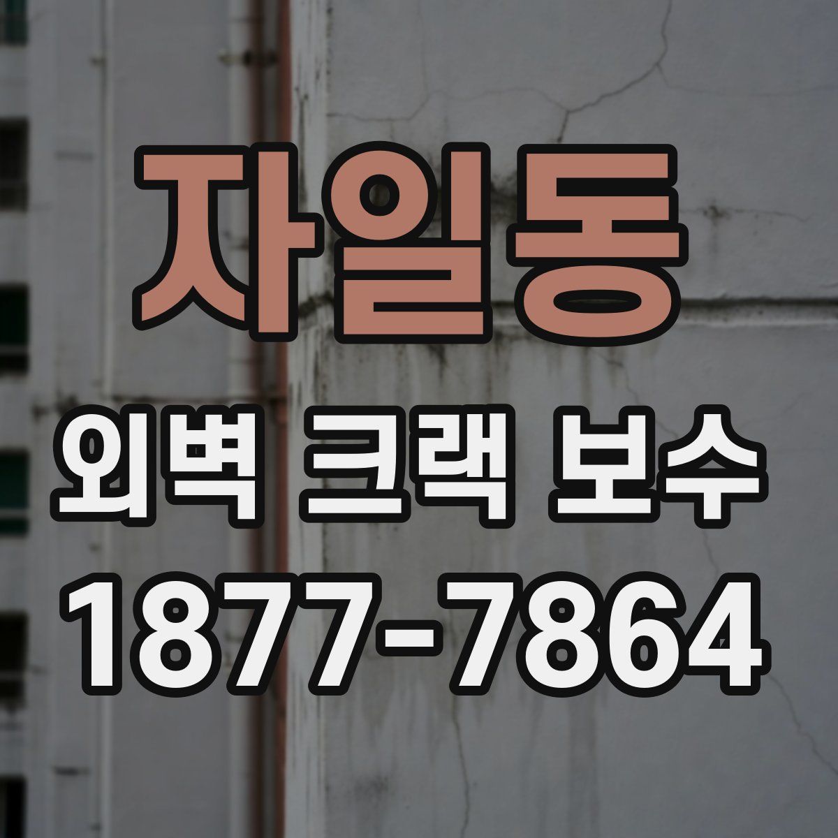 자일동 외벽 크랙 보수