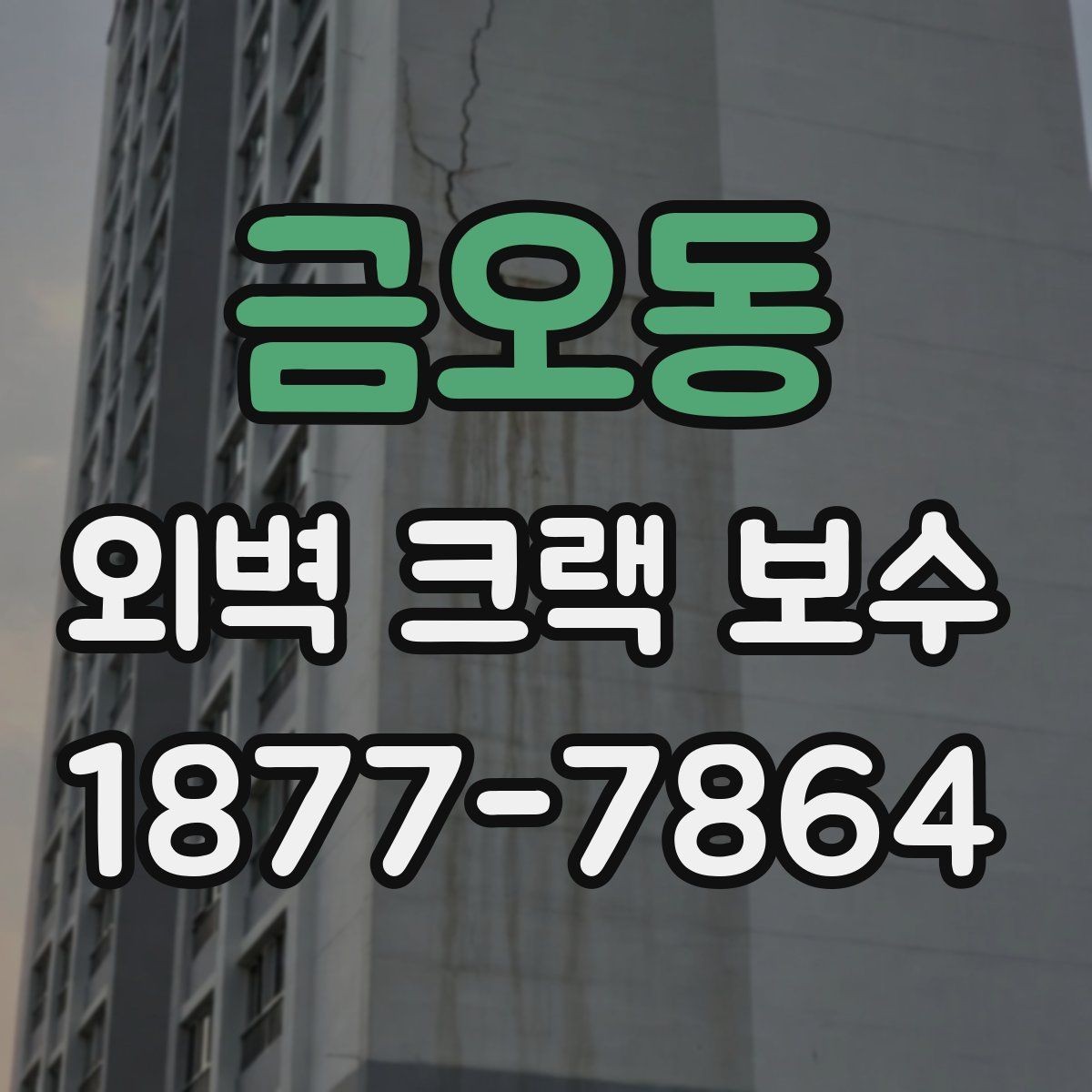 금오동 외벽 크랙 보수 비용과 점검 항목
