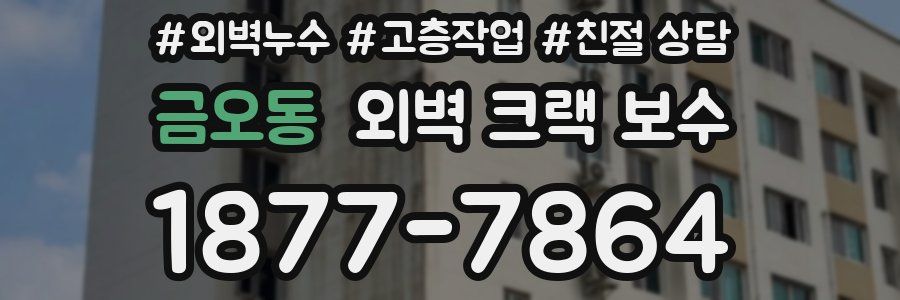 금오동 외벽 크랙 보수