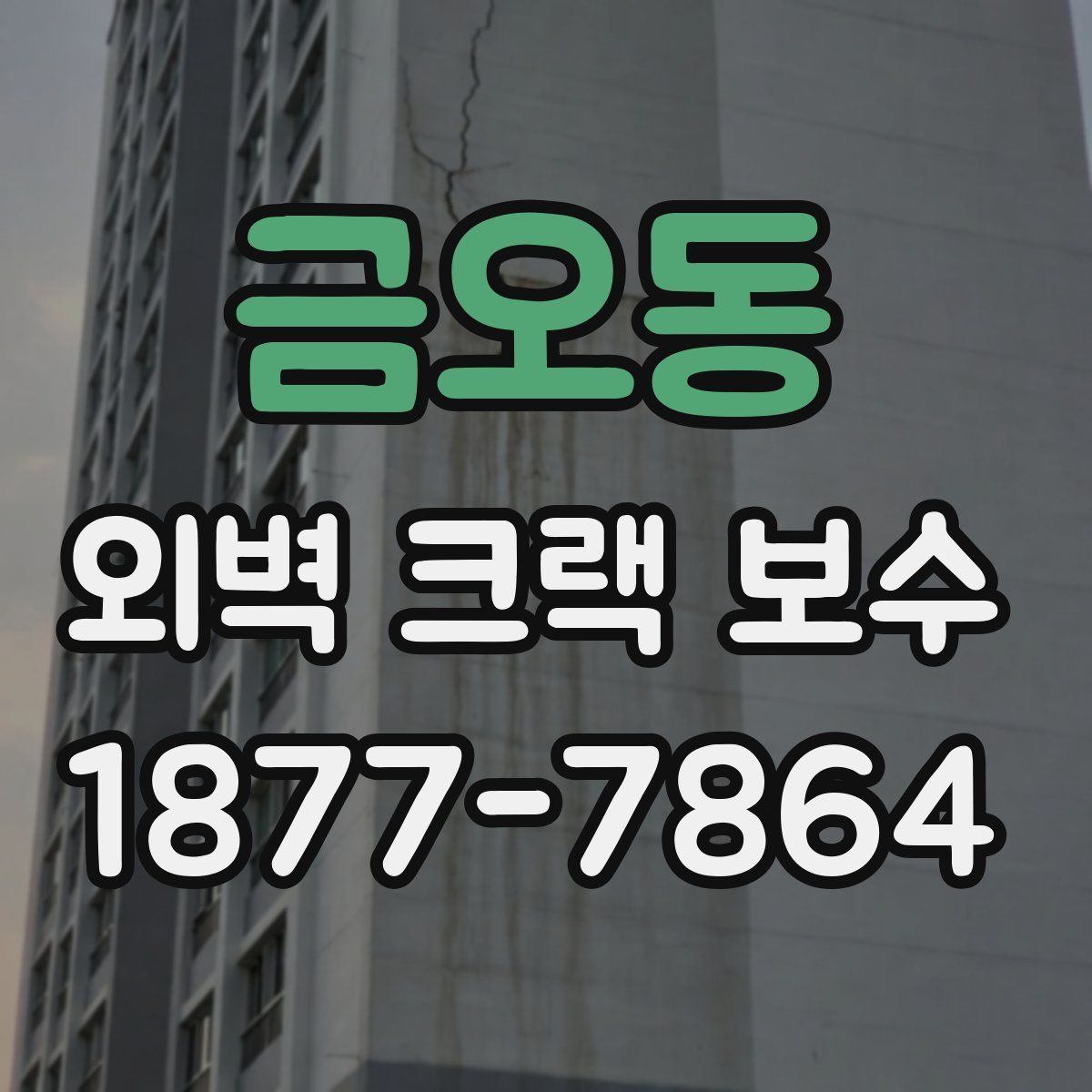 금오동 외벽 크랙 보수