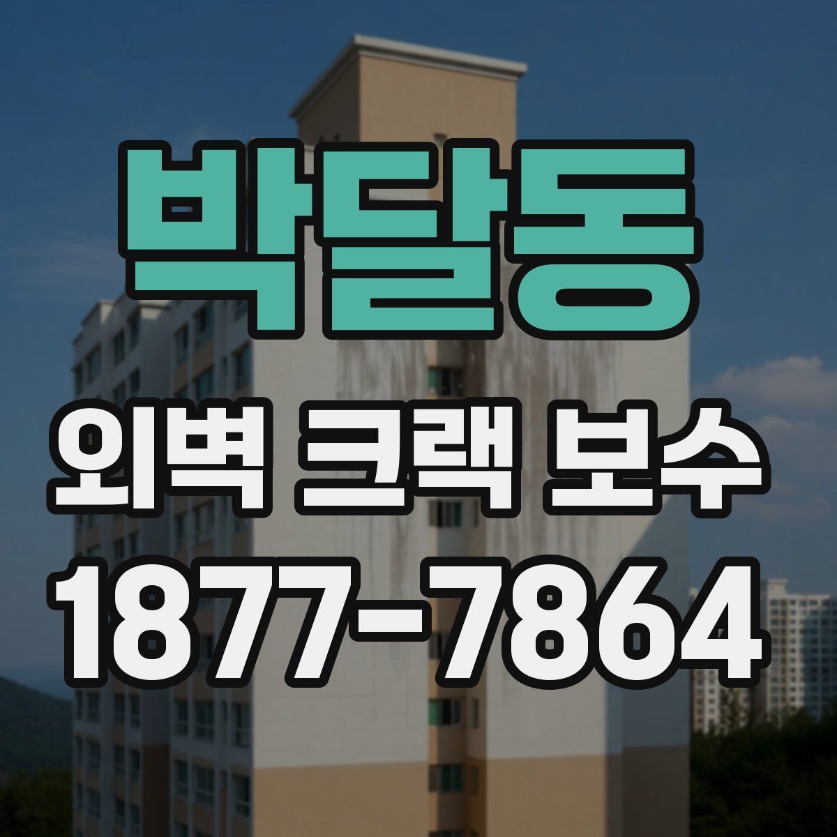 박달동 외벽 크랙 보수