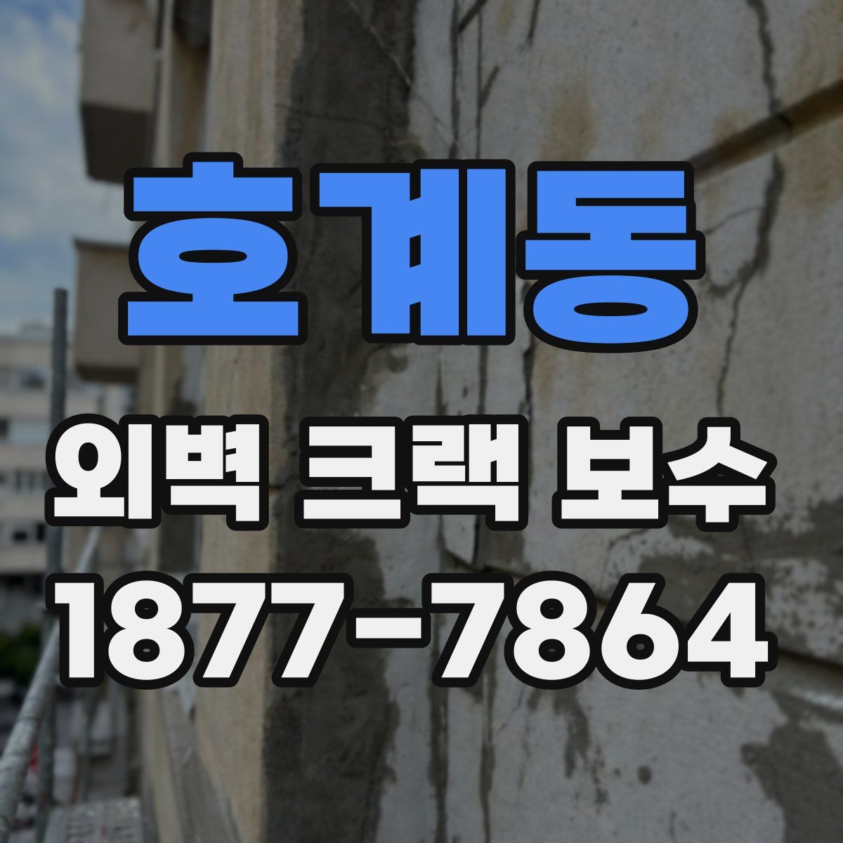 호계동 외벽 크랙 보수