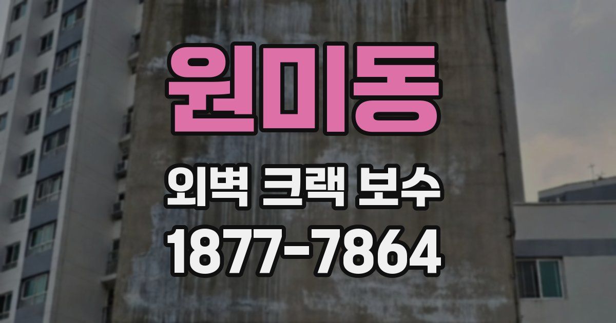 원미동 외벽 크랙 보수