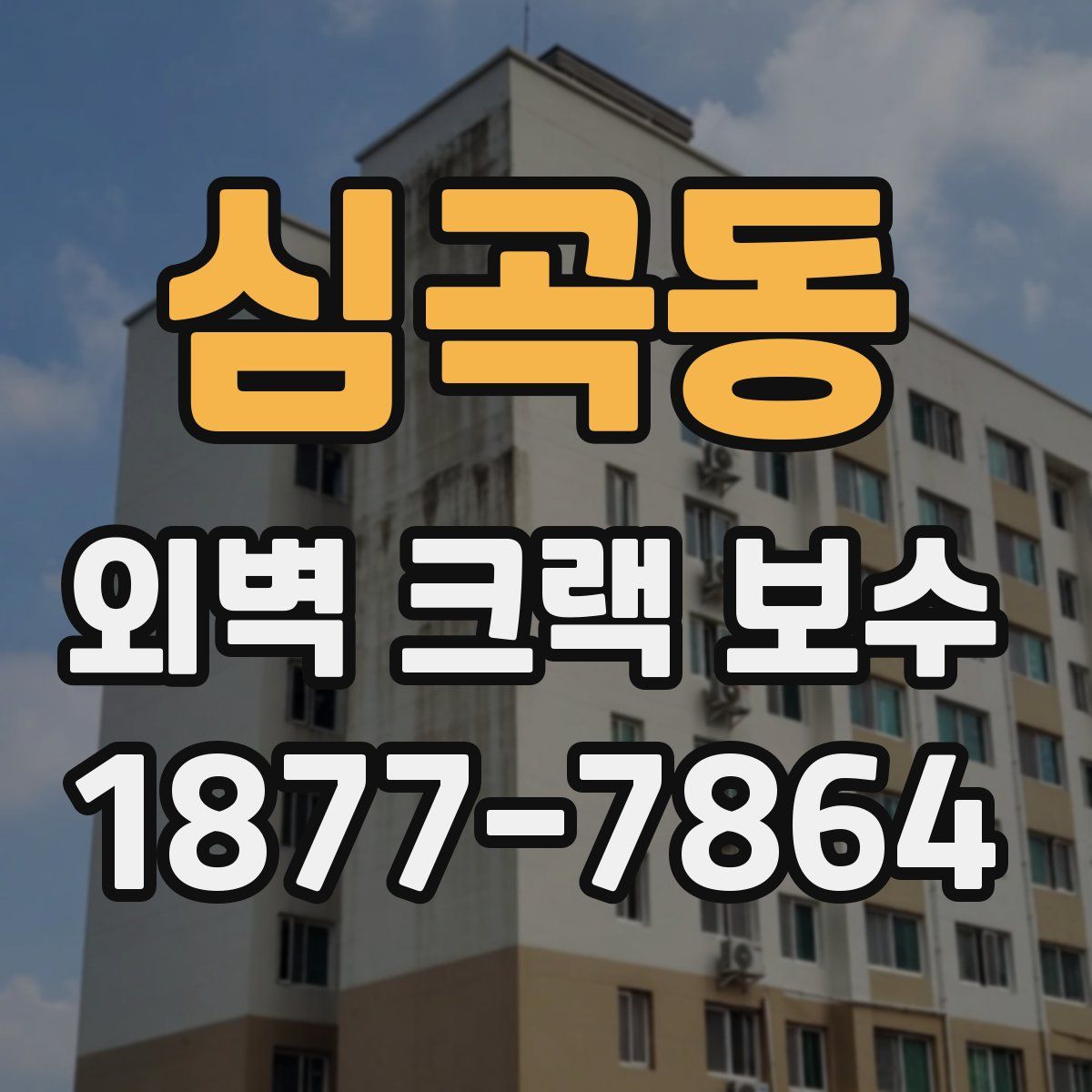 심곡동 외벽 크랙 보수