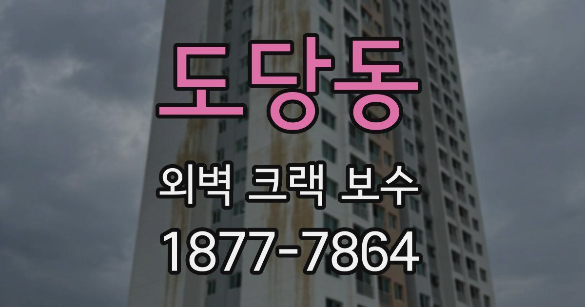 도당동 외벽 크랙 보수