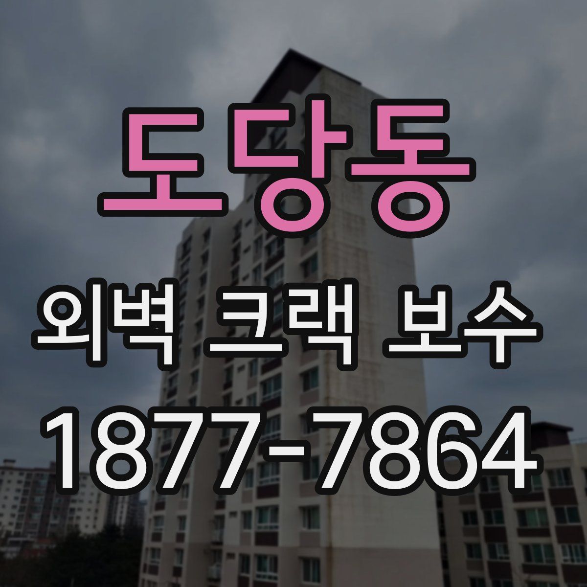 도당동 외벽 크랙 보수