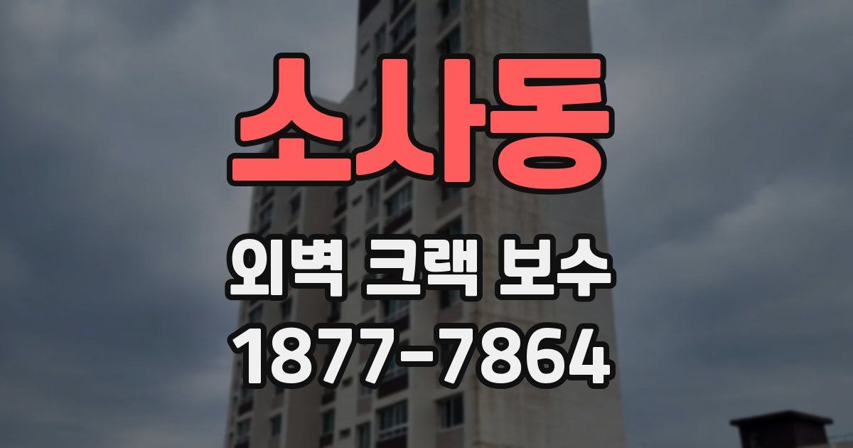 소사동 외벽 크랙 보수