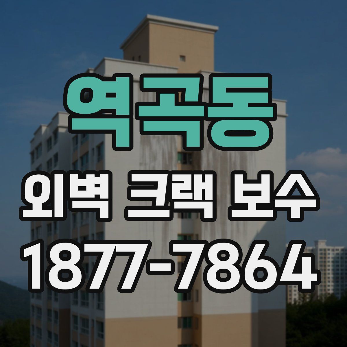 역곡동 외벽 크랙 보수