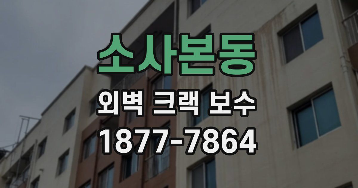 소사본동 외벽 크랙 보수