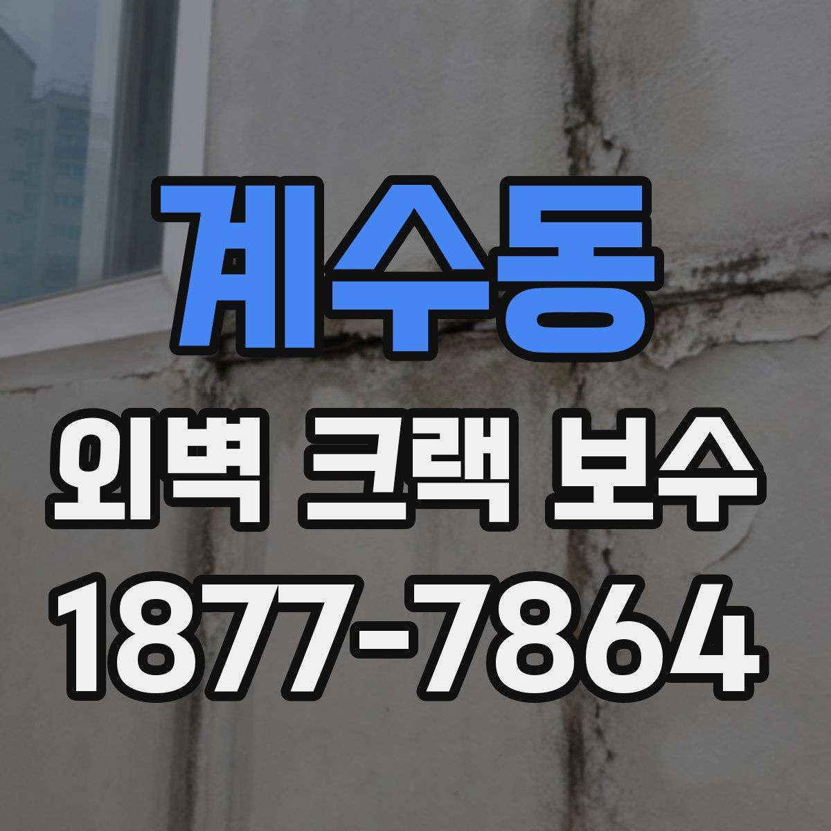 계수동 외벽 크랙 보수
