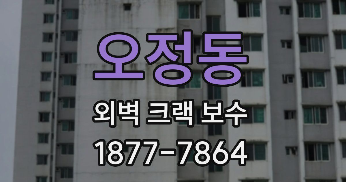 오정동 외벽 크랙 보수