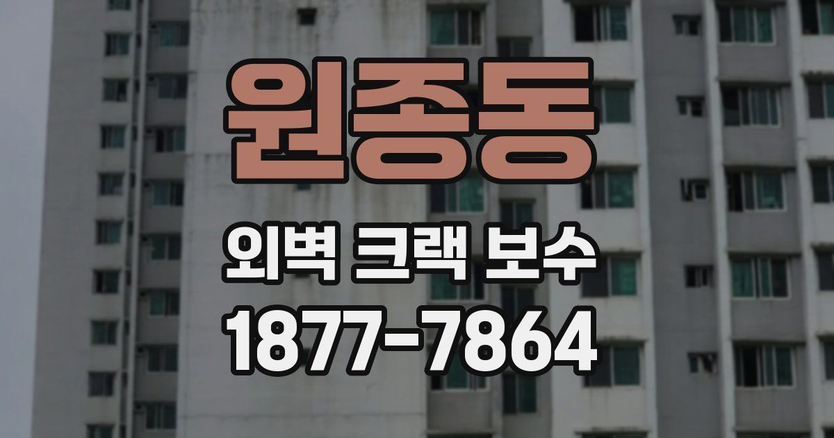 원종동 외벽 크랙 보수