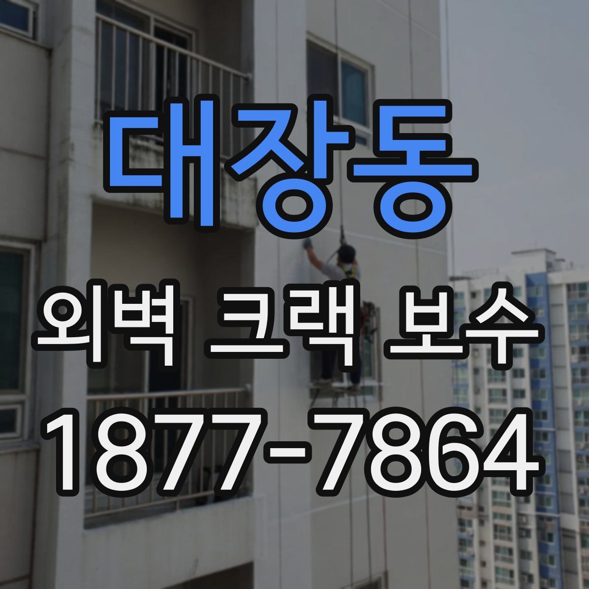 대장동 외벽 크랙 보수