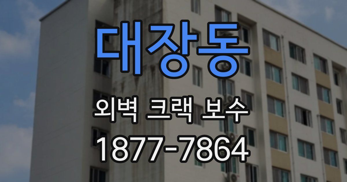 대장동 외벽 크랙 보수