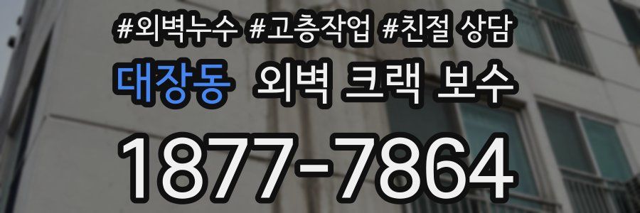 대장동 외벽 크랙 보수