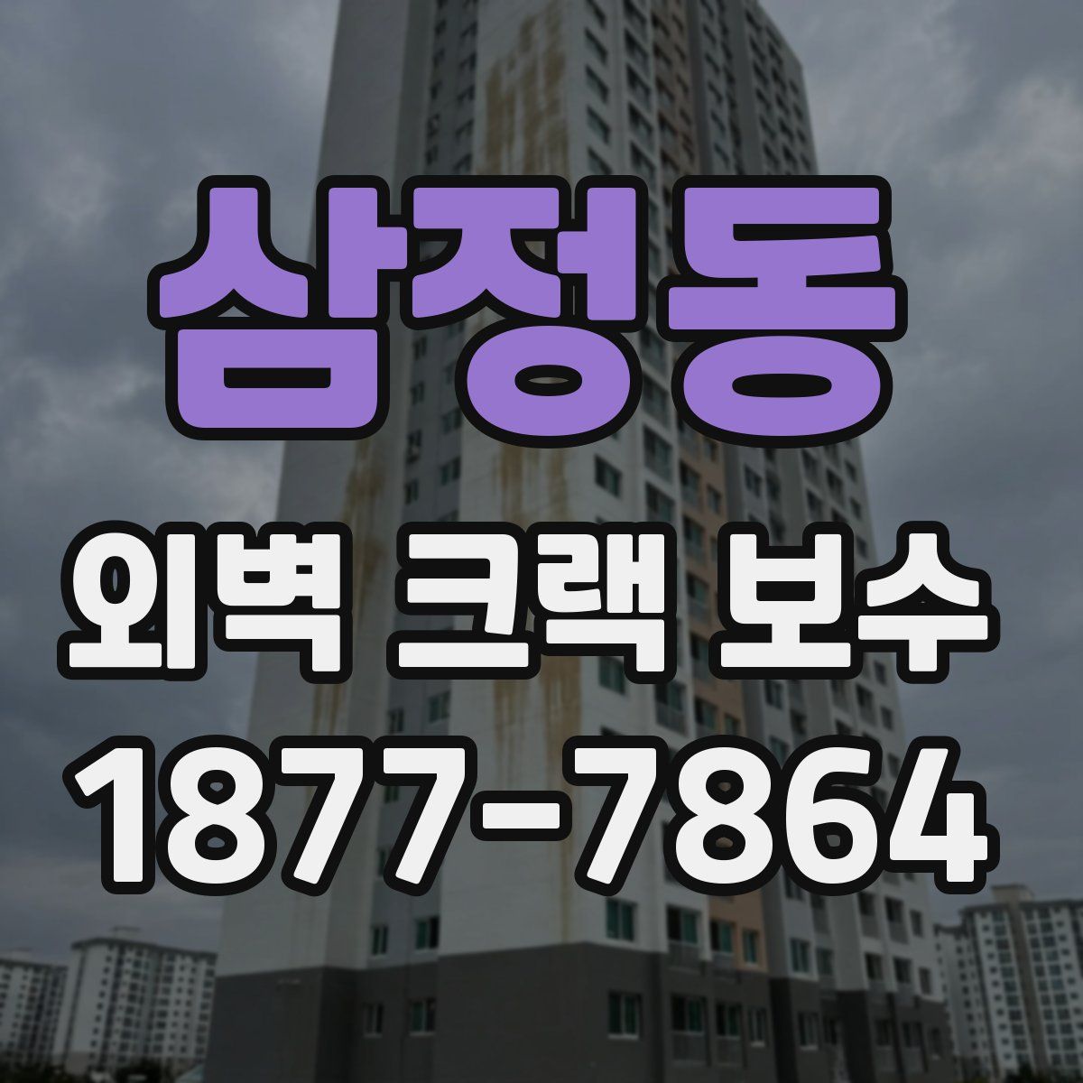 삼정동 외벽 크랙 보수