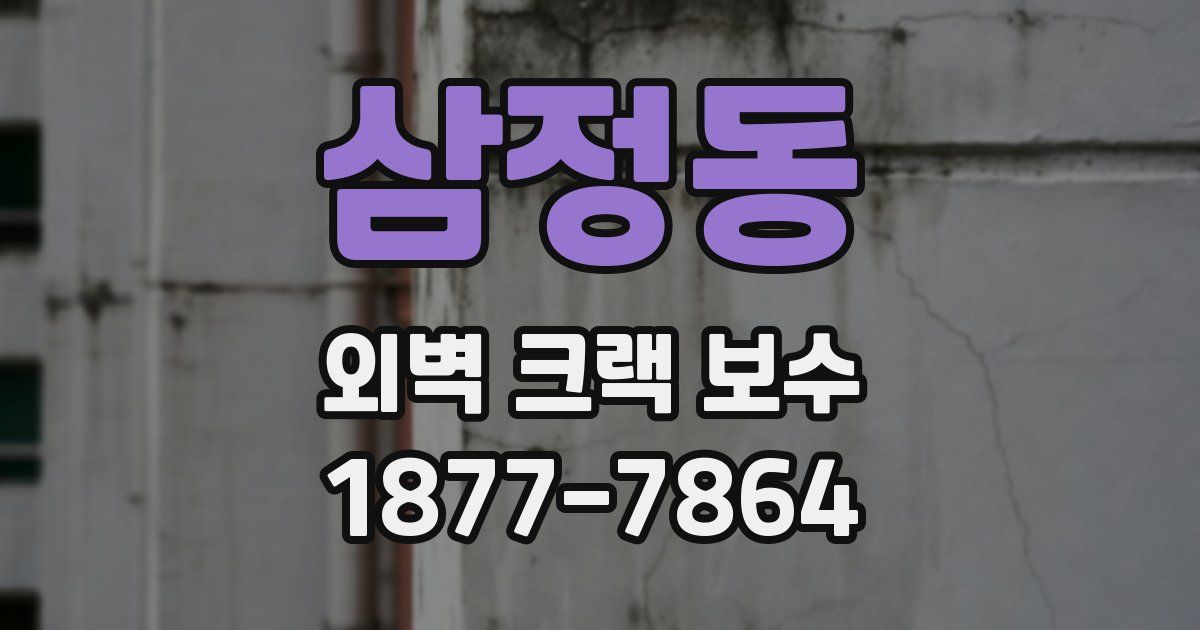 삼정동 외벽 크랙 보수