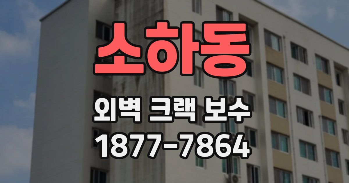 소하동 외벽 크랙 보수