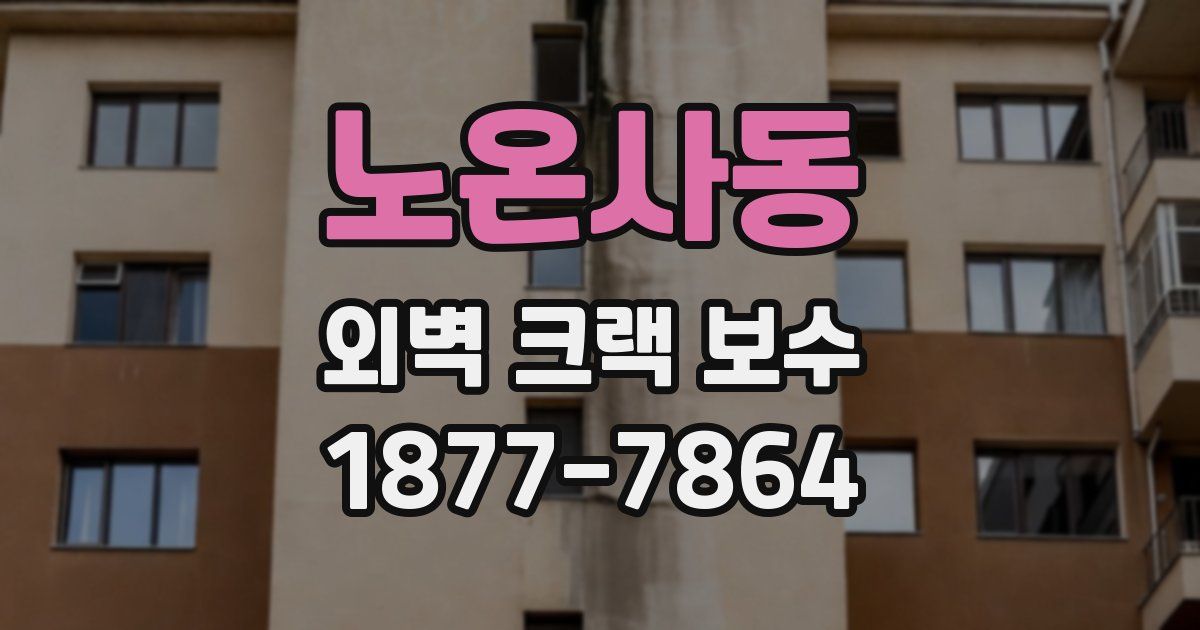노온사동 외벽 크랙 보수