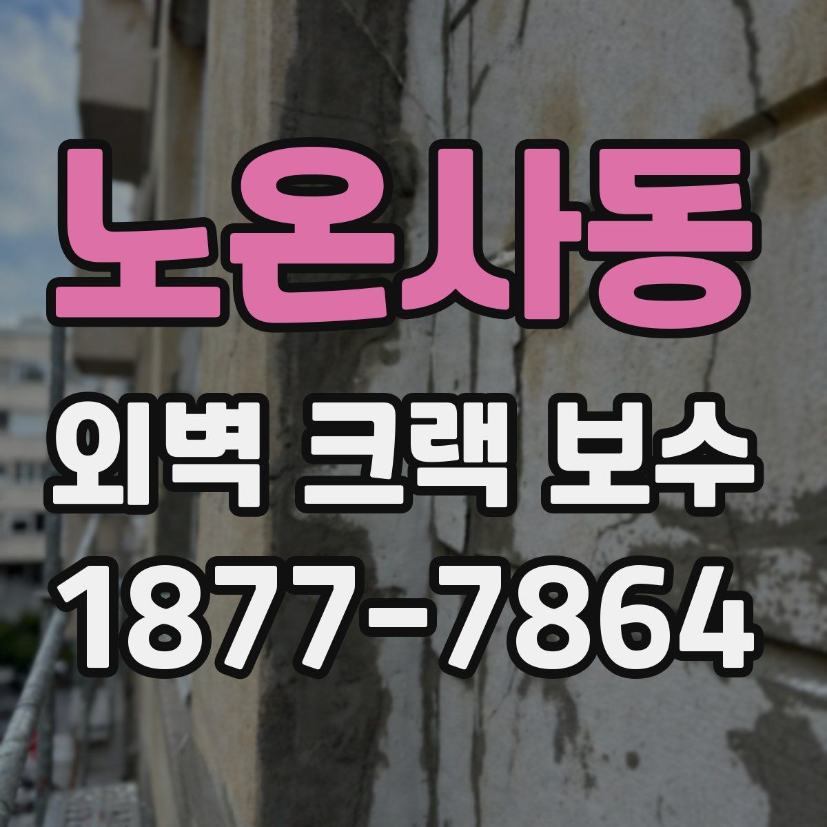노온사동 외벽 크랙 보수