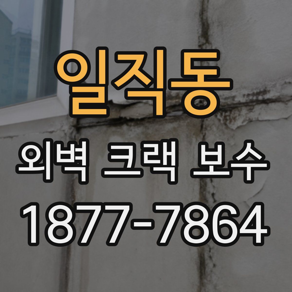 일직동 외벽 크랙 보수