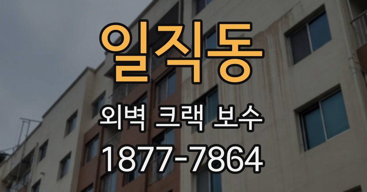 일직동 외벽 크랙 보수