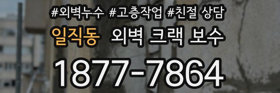 일직동 외벽 크랙 보수