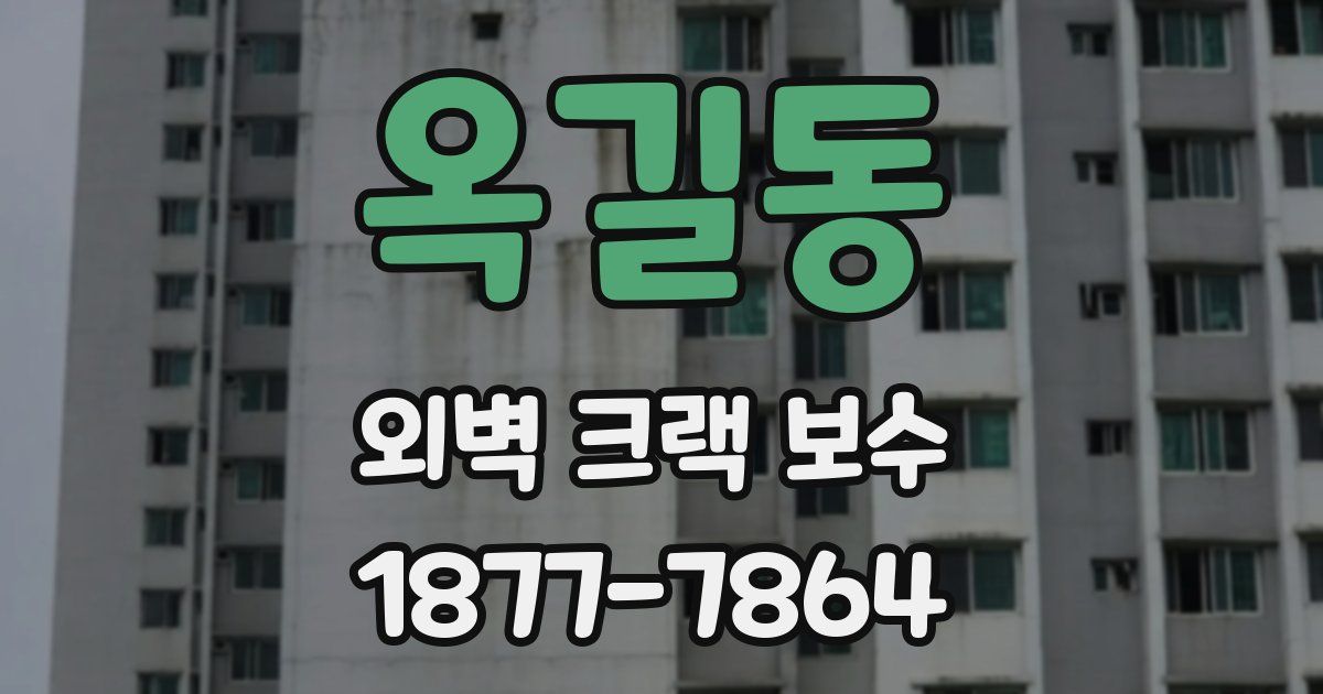 옥길동 외벽 크랙 보수