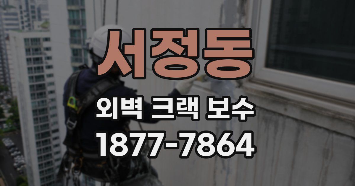 서정동 외벽 크랙 보수