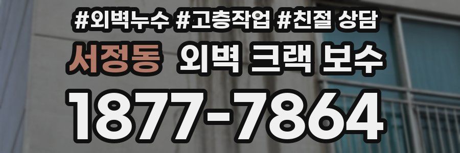 서정동 외벽 크랙 보수