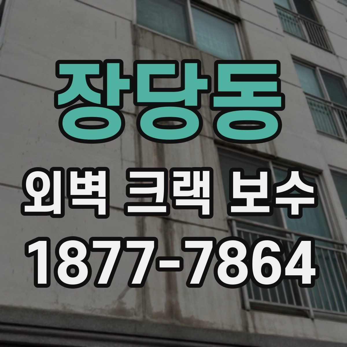 장당동 외벽 크랙 보수 전 확인하는 주변 손상 범위
