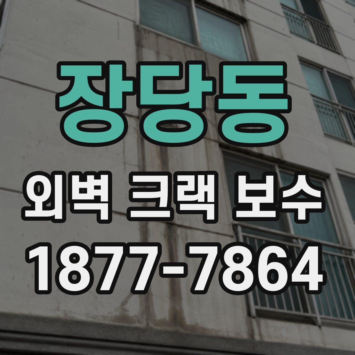 장당동 외벽 크랙 보수