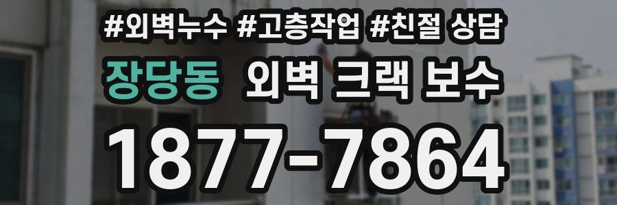장당동 외벽 크랙 보수