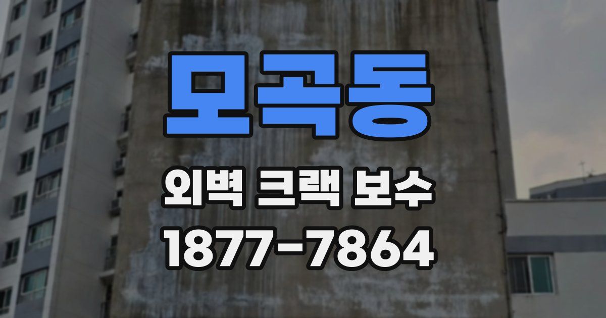 모곡동 외벽 크랙 보수