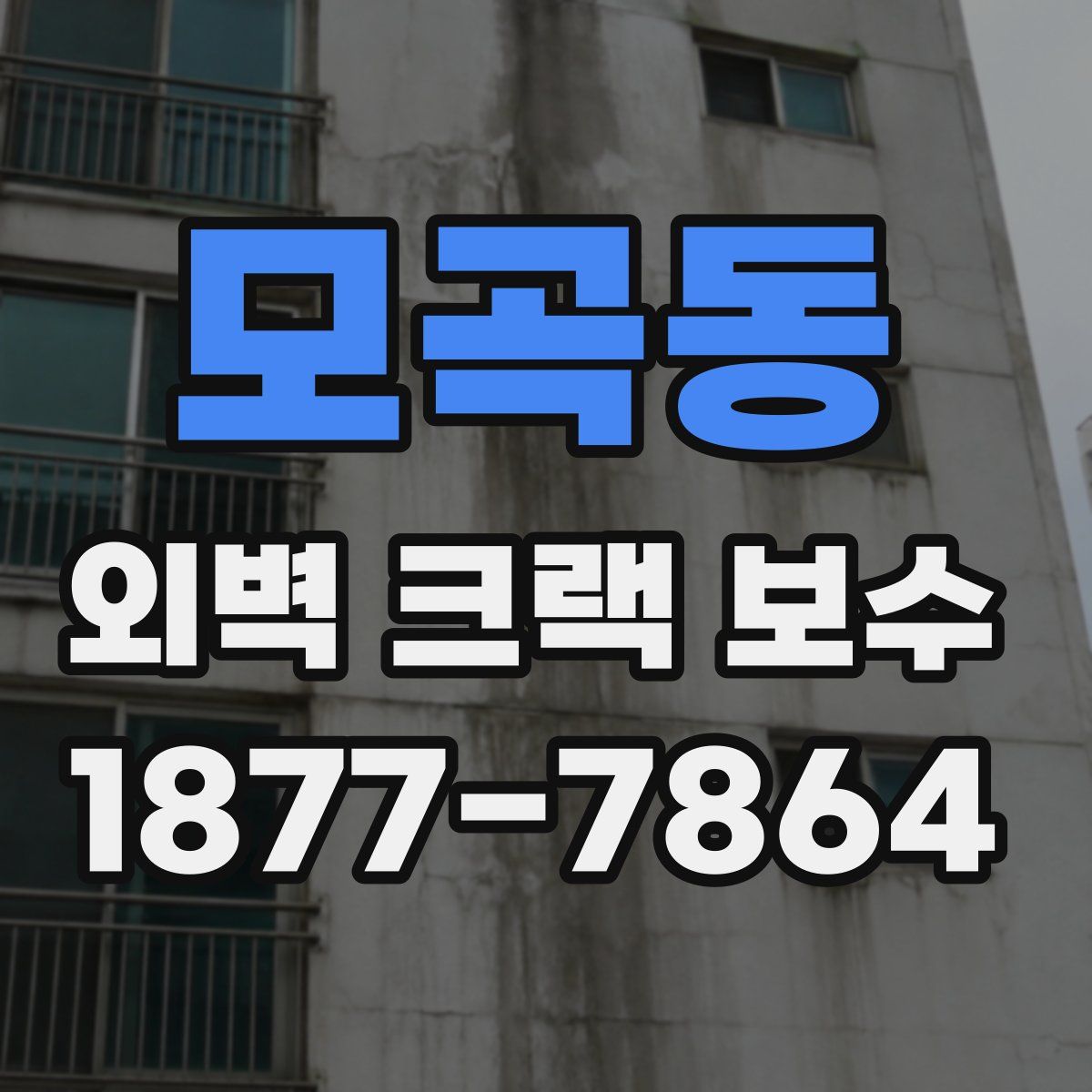 모곡동 외벽 크랙 보수