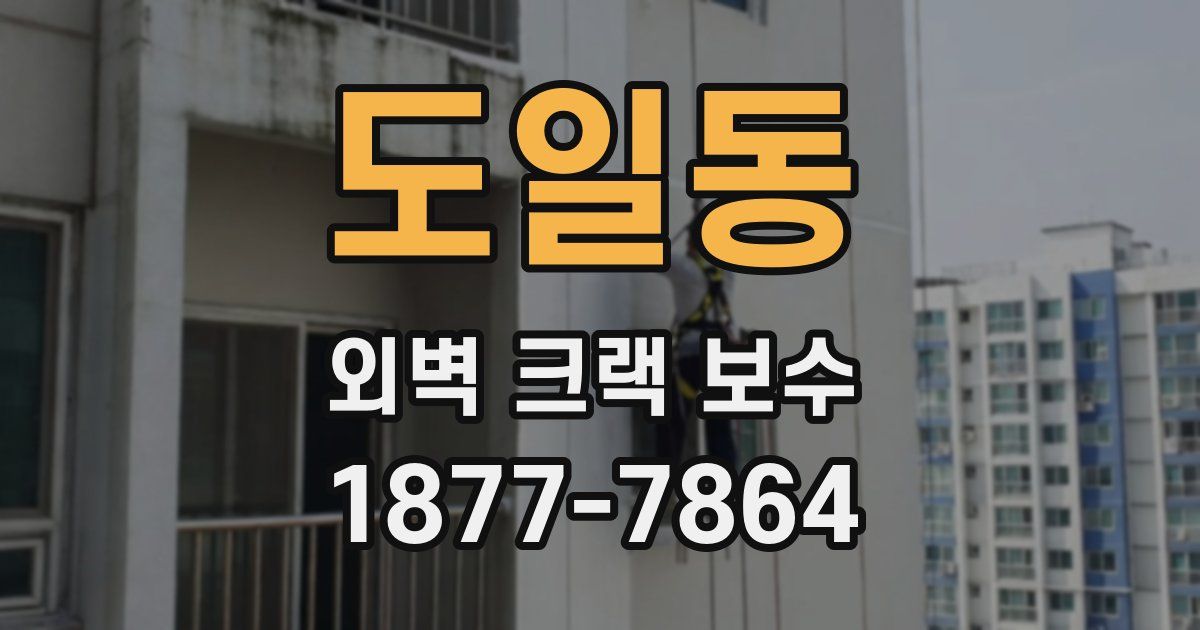 도일동 외벽 크랙 보수