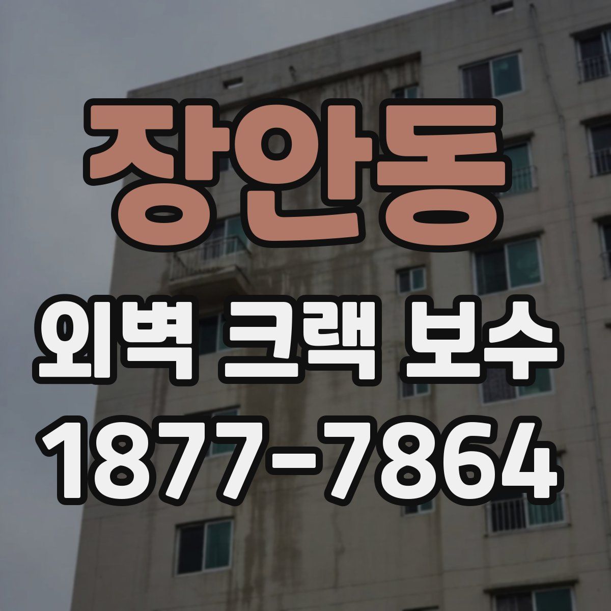 장안동 외벽 크랙 보수
