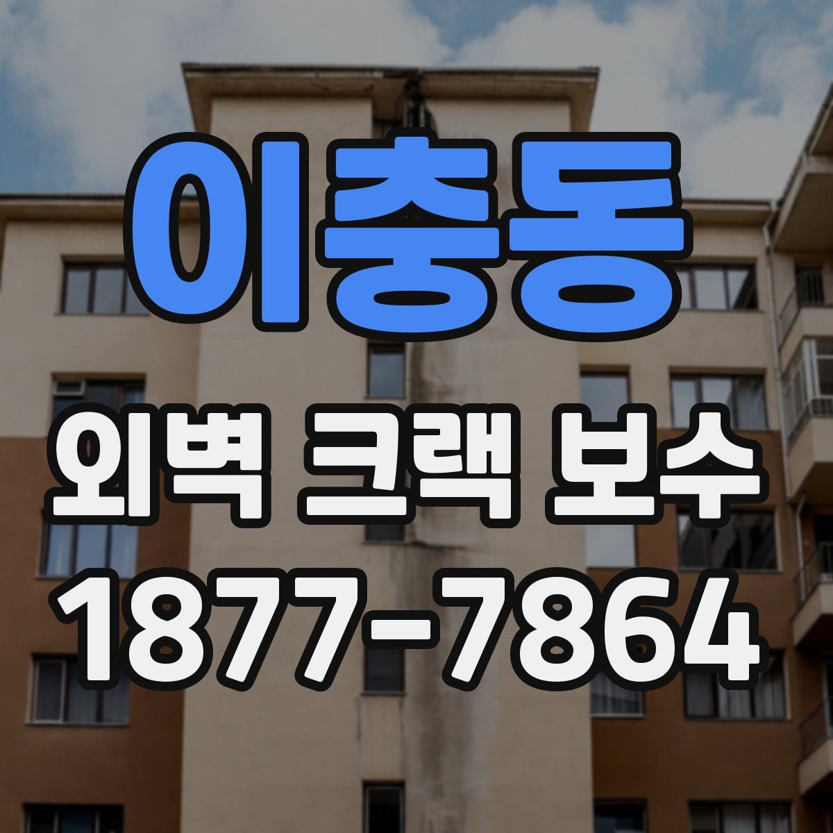 이충동 외벽 크랙 보수
