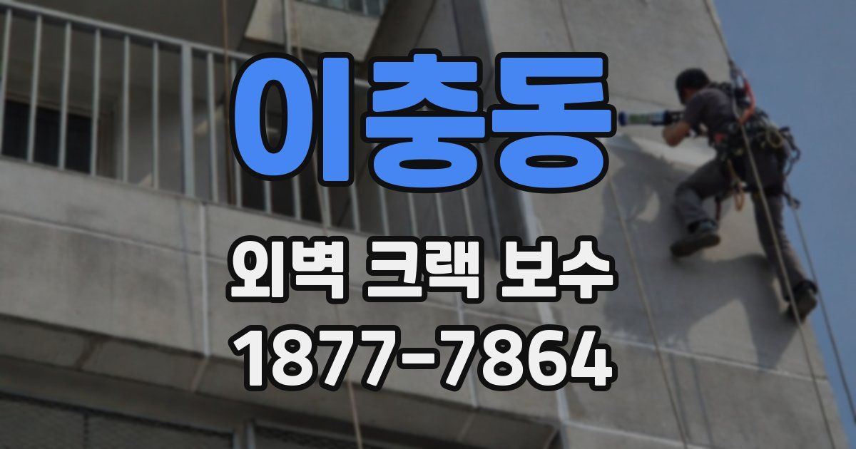 이충동 외벽 크랙 보수