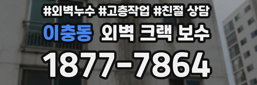 이충동 외벽 크랙 보수