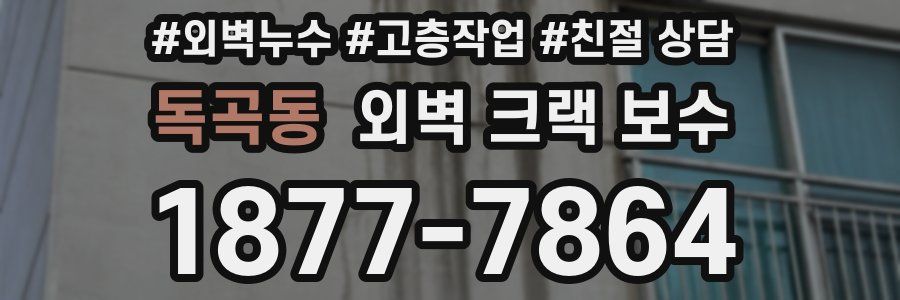 독곡동 외벽 크랙 보수