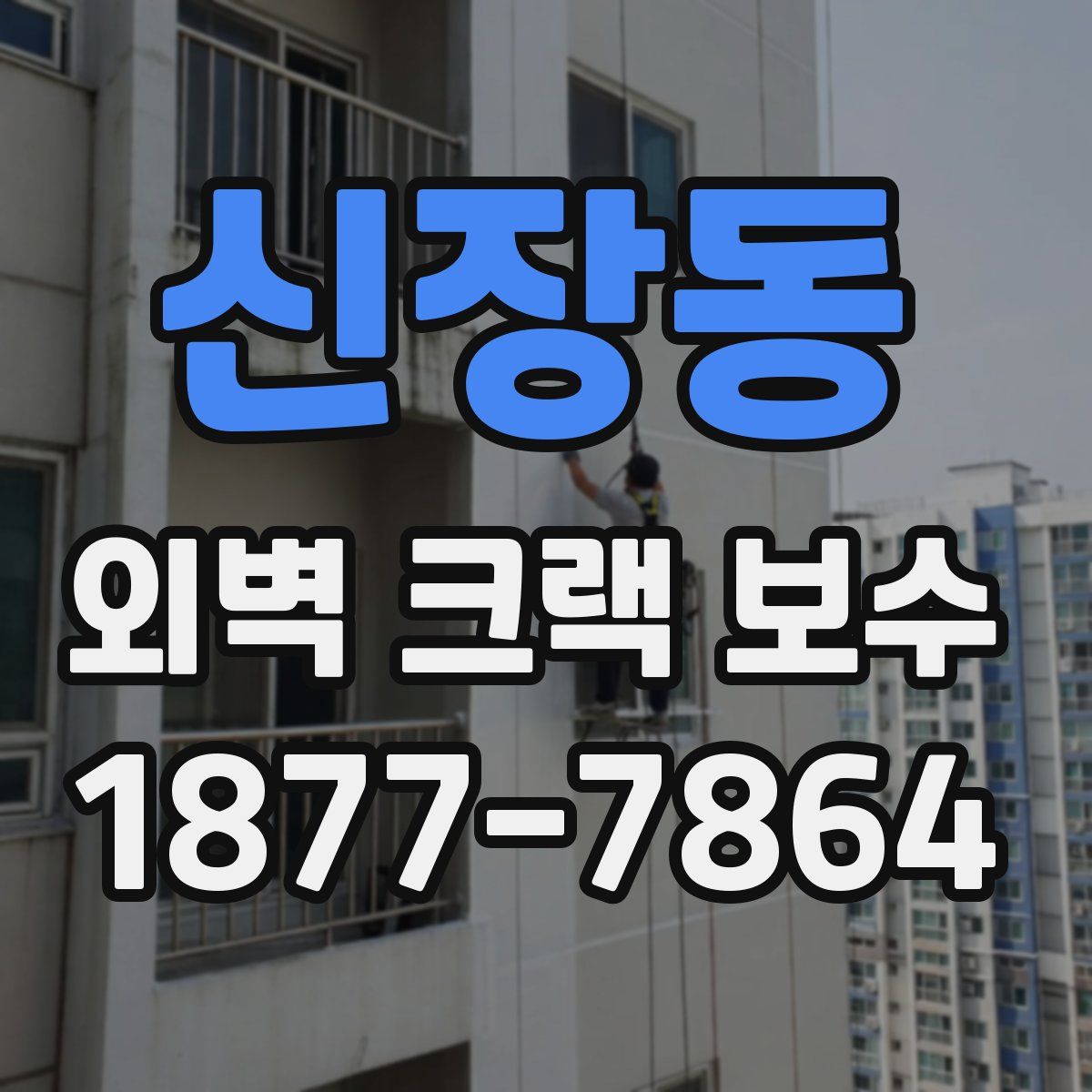 신장동 외벽 크랙 보수