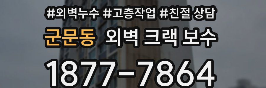군문동 외벽 크랙 보수