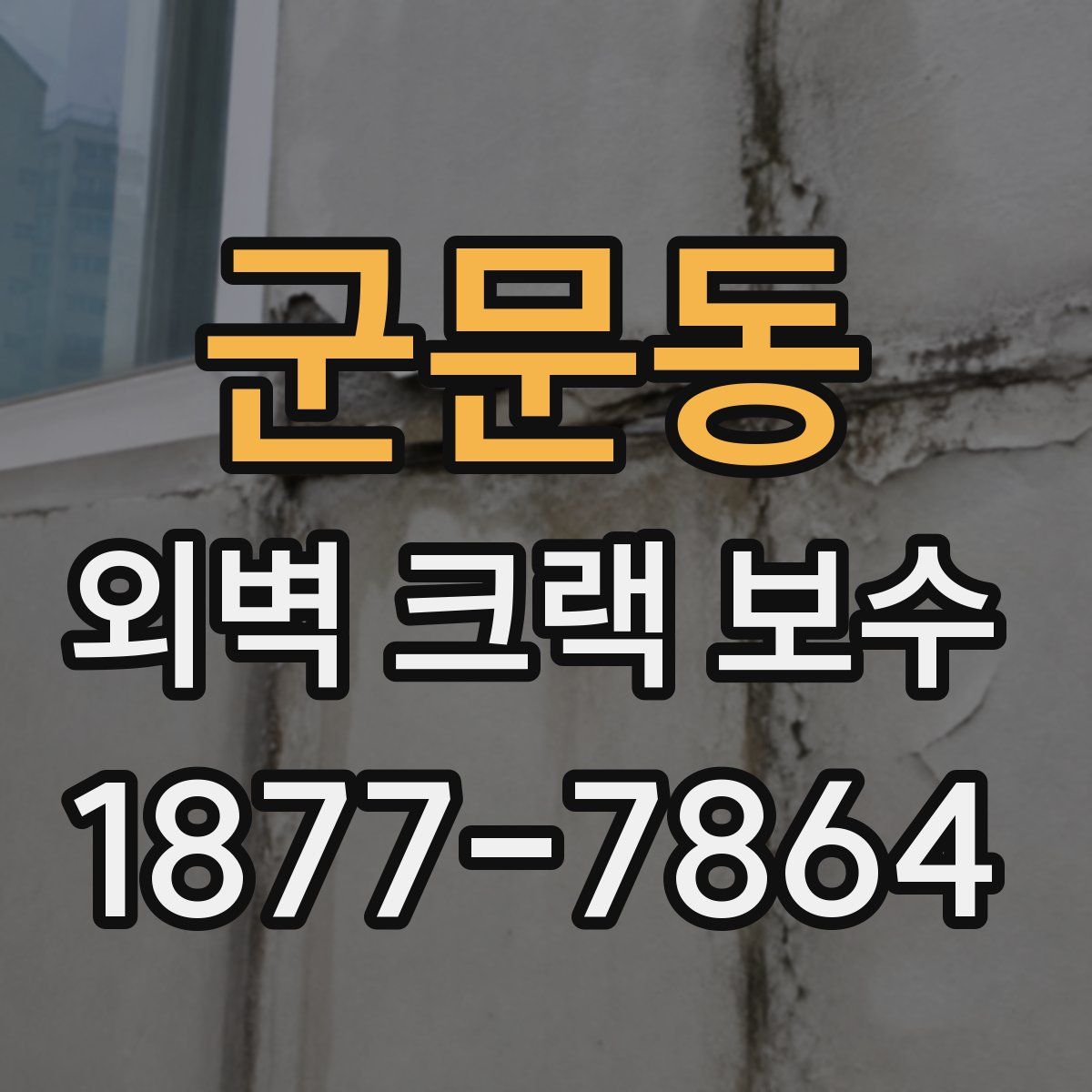 군문동 외벽 크랙 보수