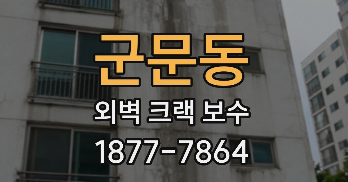 군문동 외벽 크랙 보수