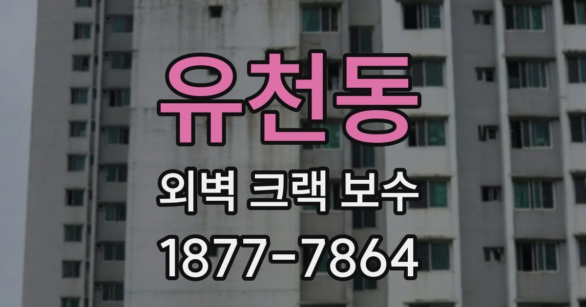 유천동 외벽 크랙 보수